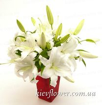 White lilies
